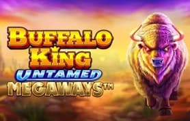 Buffalo King Untamed Megaways - Pragmatic play