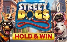 Street Dogs - Hold & Win - Nucleus gaming